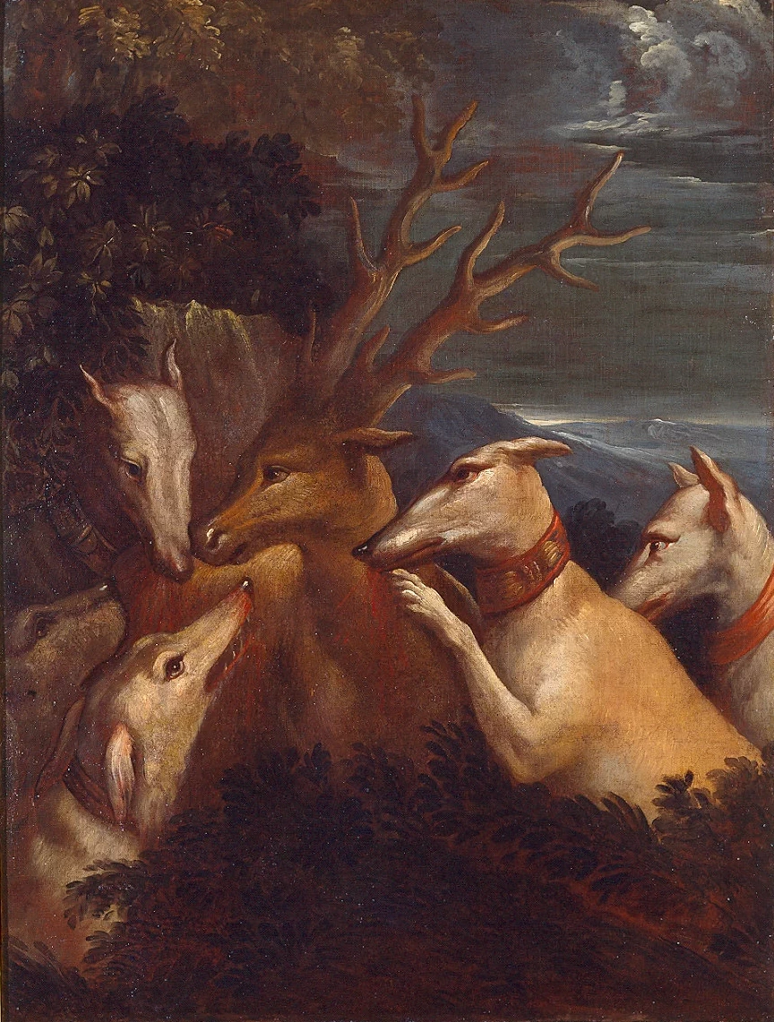 Favola di Diana e Atteone 10 - Palazzo della Pilotta, Parma
